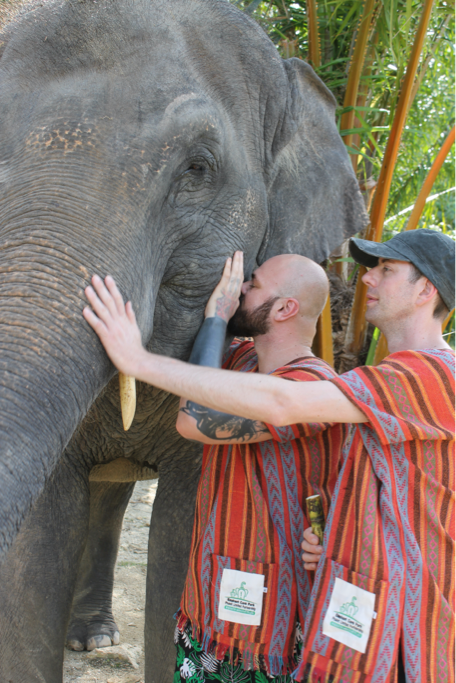 Rescued Elephant Care Phuket - Authentic Visitor Experience