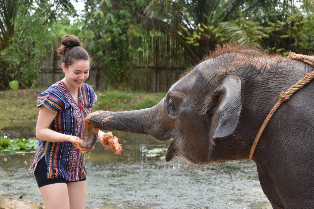 Half Day Elephant Care & River Bath