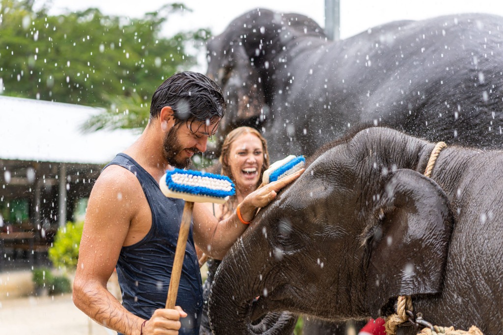 Gentle Elephant Shower and Scrubbing with Caregivers